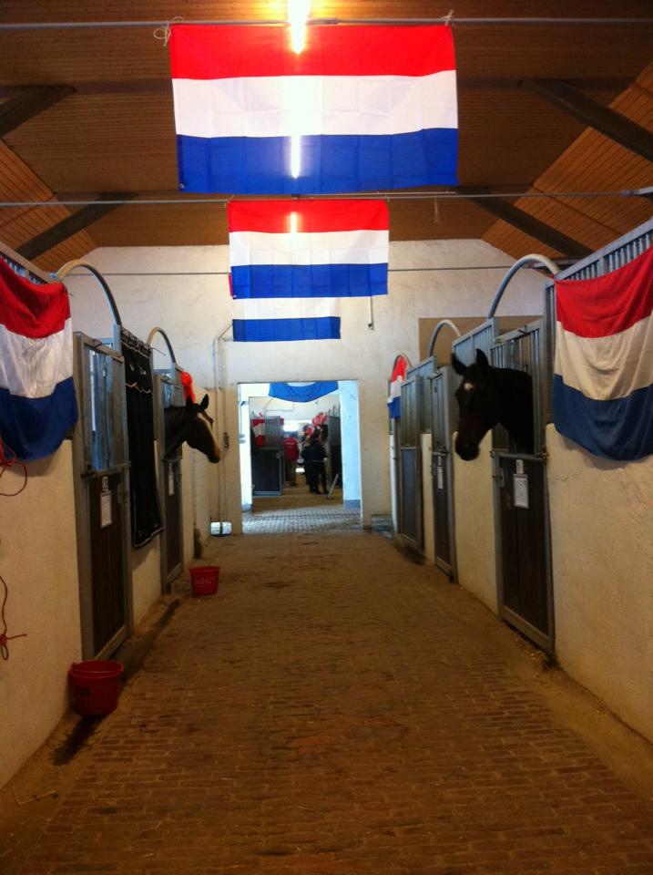 Nederland.jpg